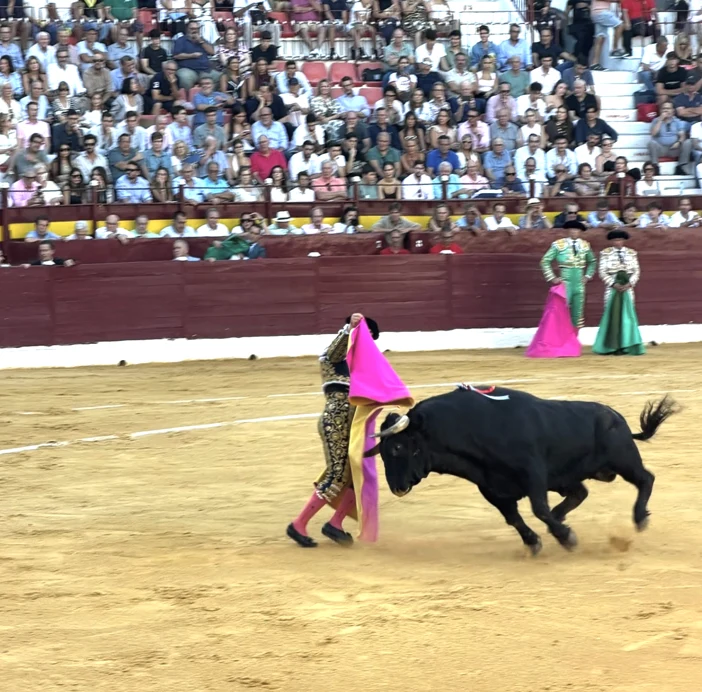 Corrida: matadoren og tyren i arenaen